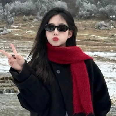 战略阴谋:刺客末路