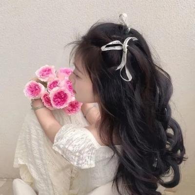 基督山之子